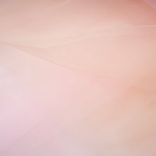 Clara Pink Cape Top & Tulle Skirt Set
